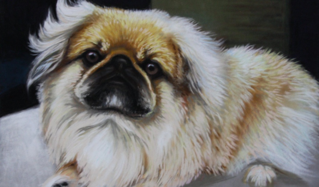 Пекинес на картине