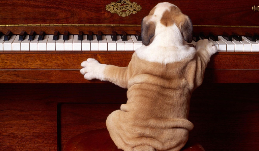 Сыграй снова 