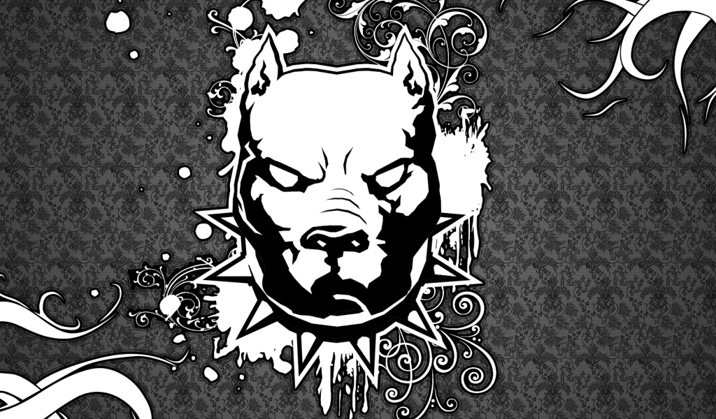 Изображение злого питбуля