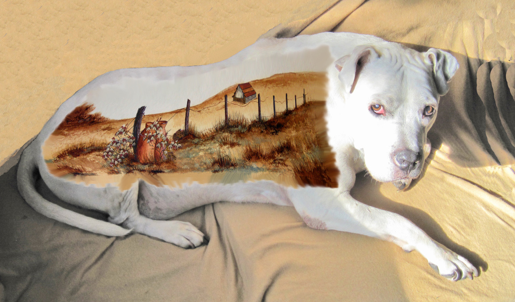 Картина на спине американского стаффордширского терьера