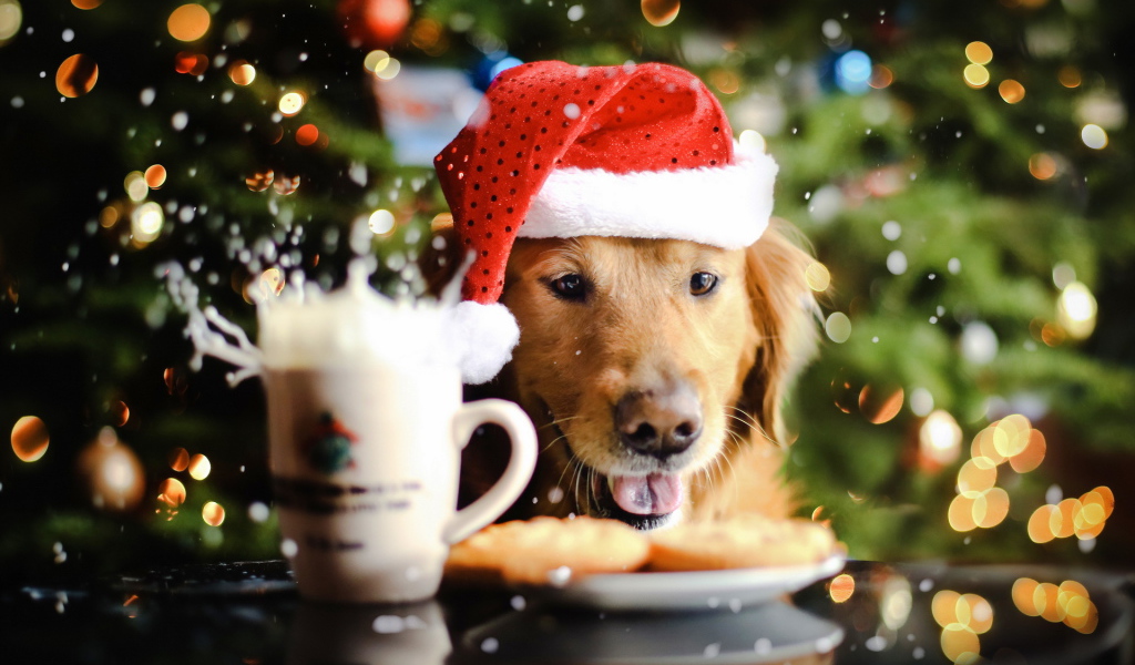 Новогодняя собака