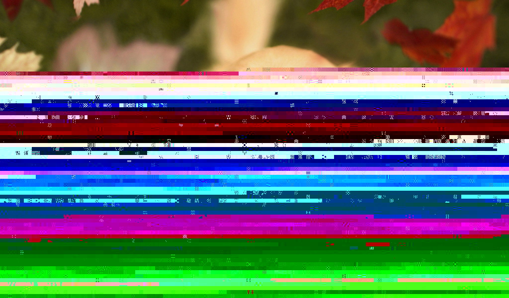 Собака в осеннем лесу