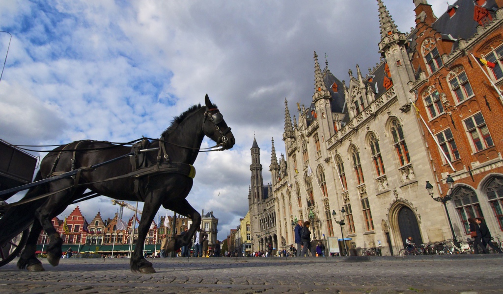 Лошадь в городе