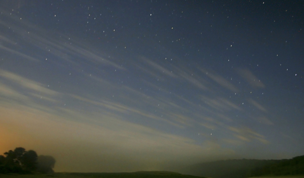Лошади под звездным небом