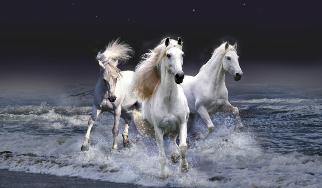 Мистические лошади 