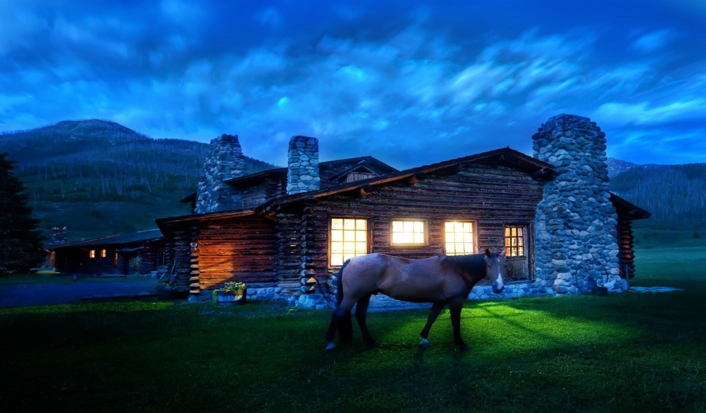 Лошадь около дома