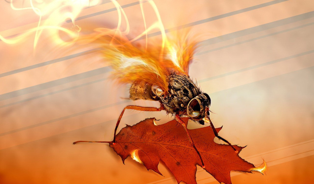 Муха с огненными крыльями