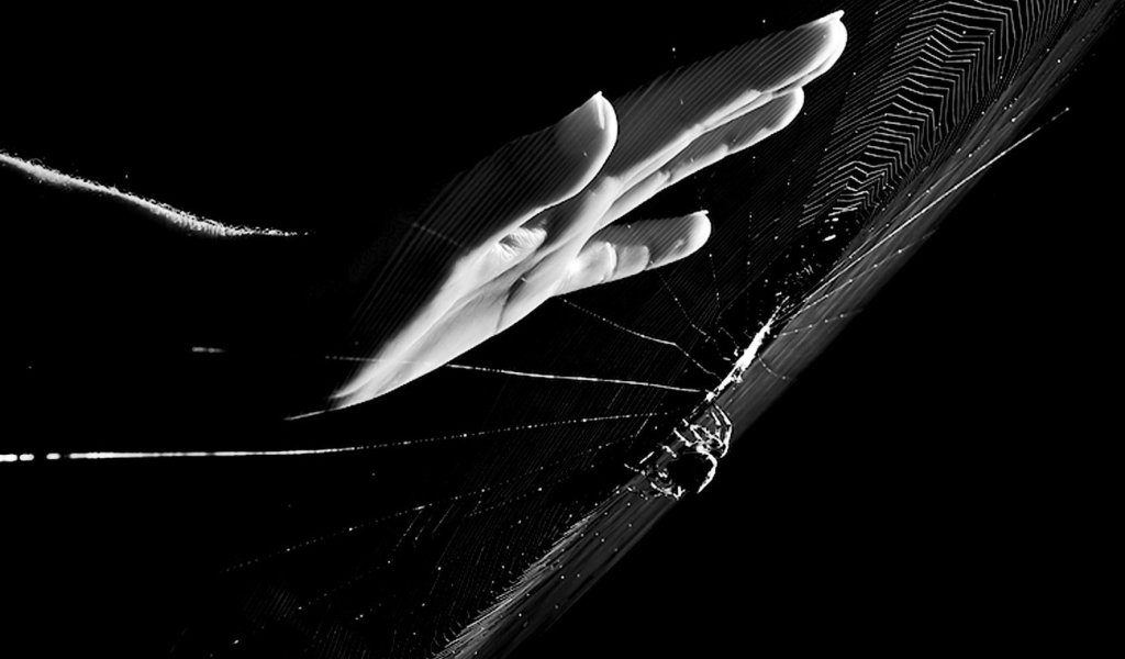 Рука у паутины