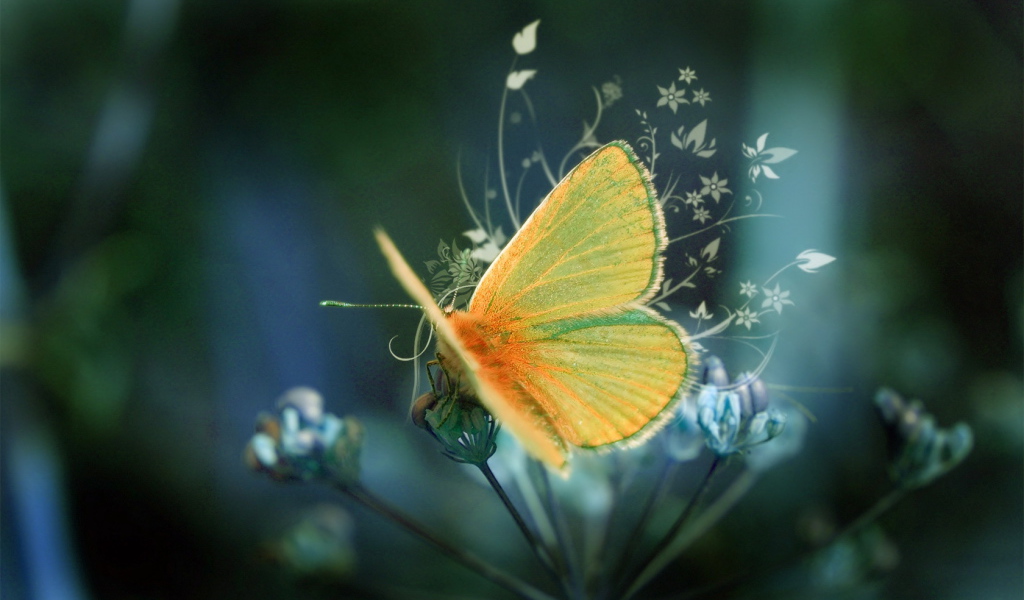 Желтая пушистая бабочка