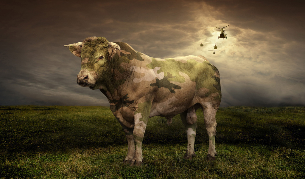 Бык цвета хаки