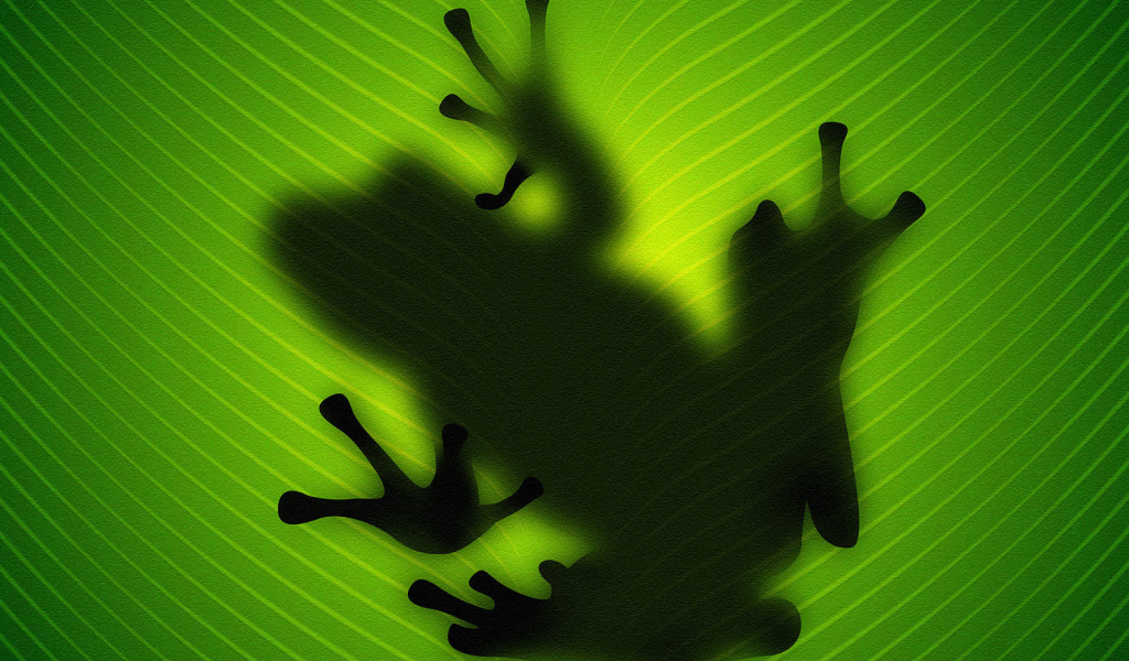 Силуэт лягушки