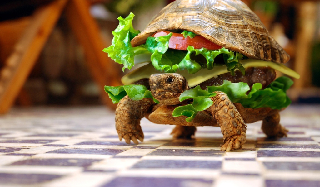 Черепаха чизбургер