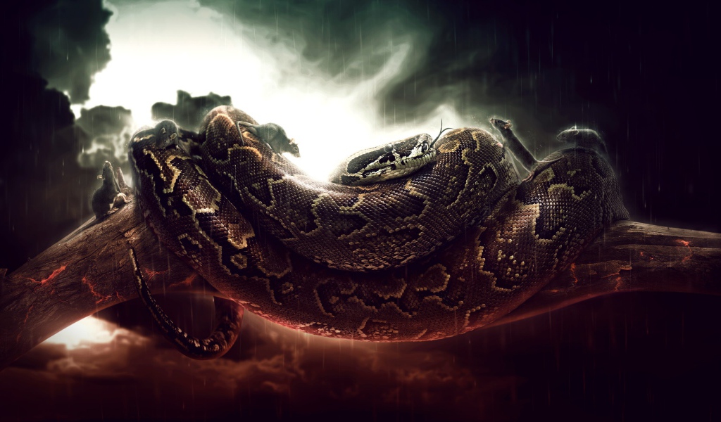 Мыши бегают по удаву