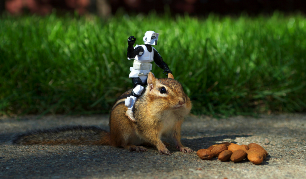 Робот верхом на бурундуке