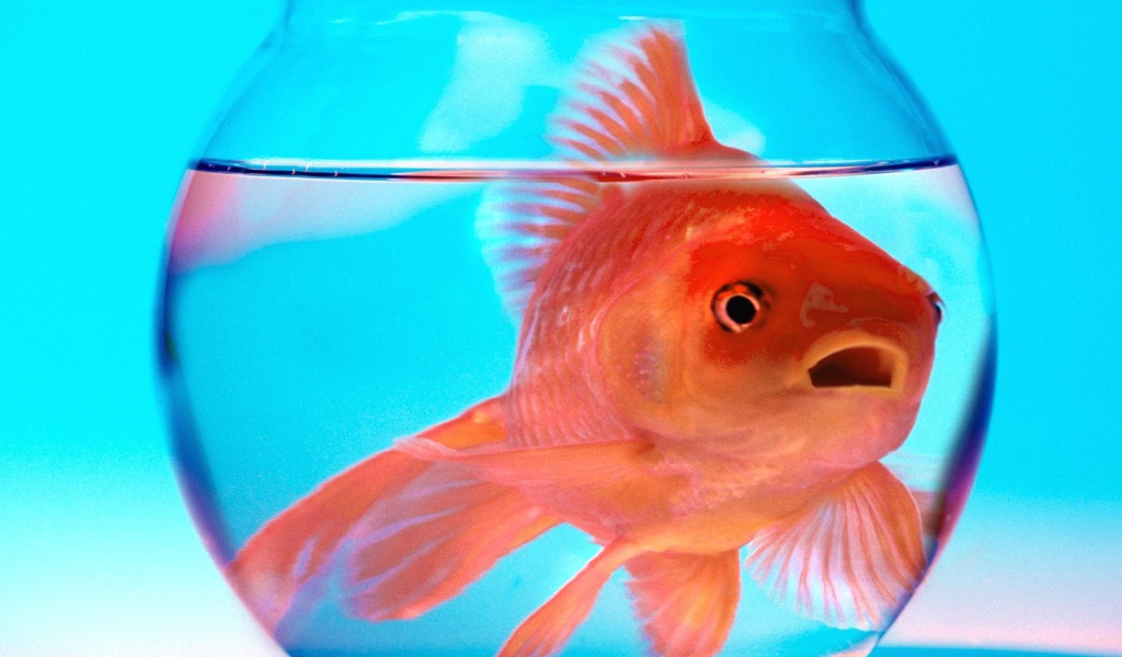 Не волнуйся