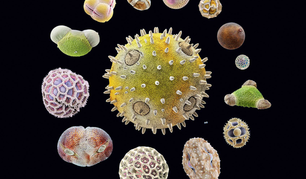 Морская тема