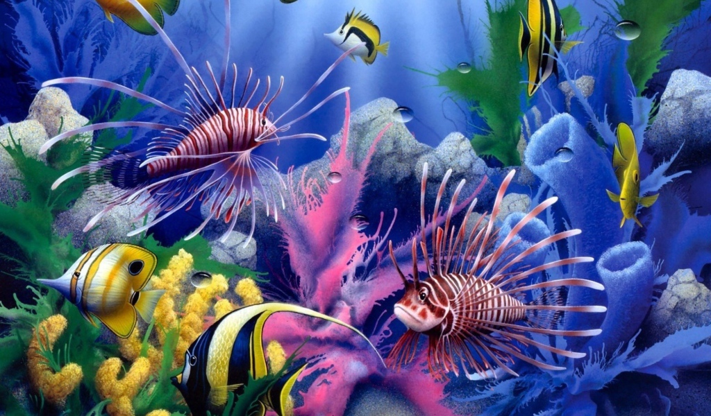 Красота подводной жизни