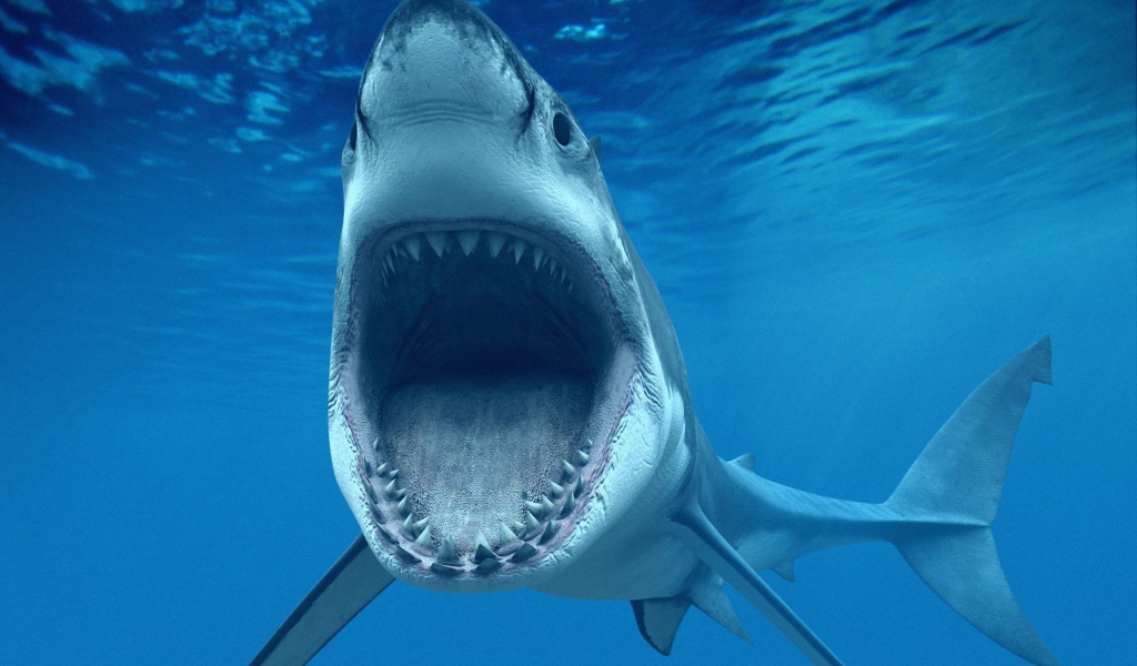 Пасть белой акулы