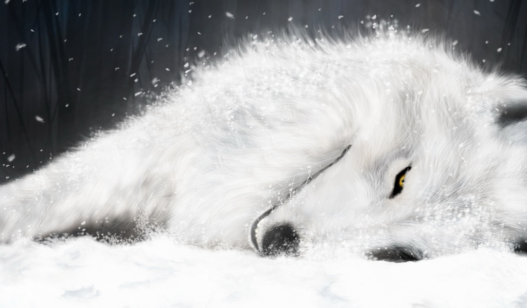 Белая лиса на снегу 
