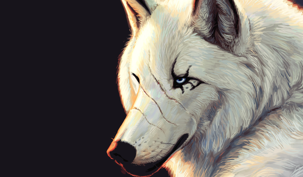 Белый волк со шрамами