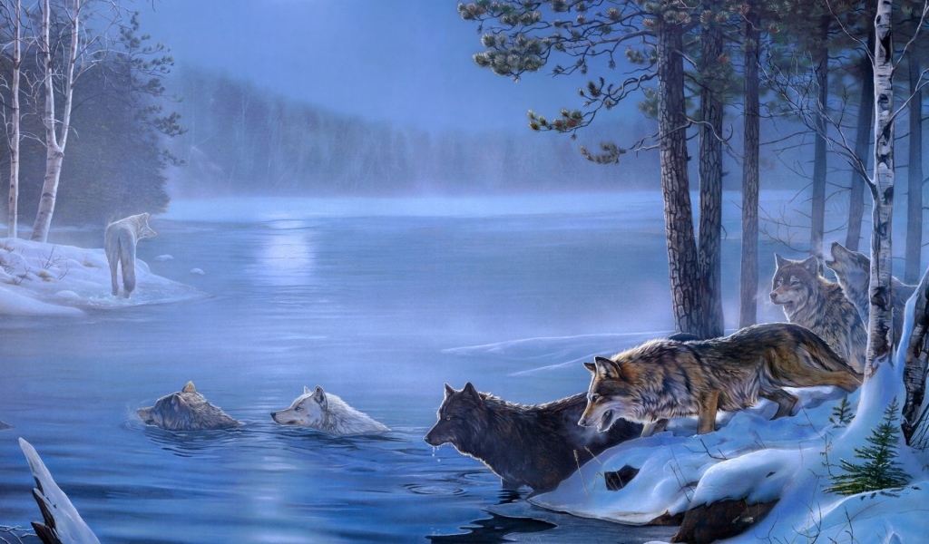 Волки переплывают реку