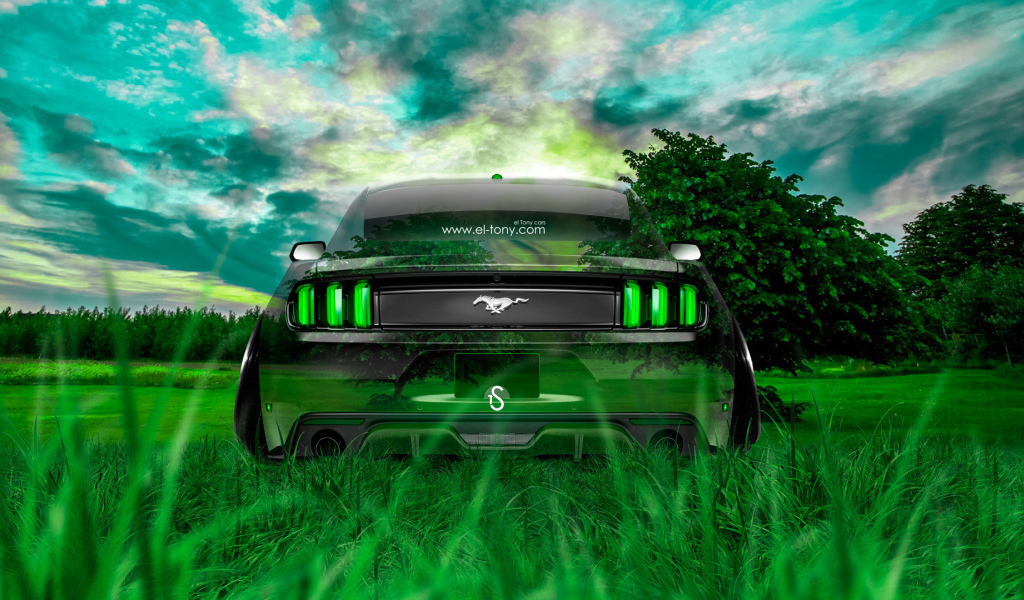 Мустанг единение с природой