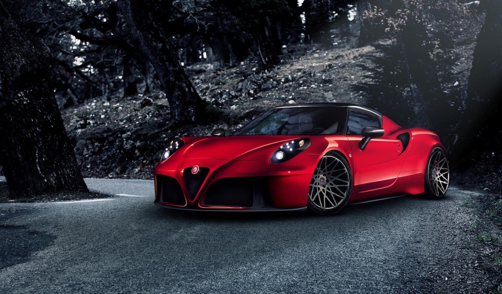 Гоночный Alfa Romeo 4C 2014 года