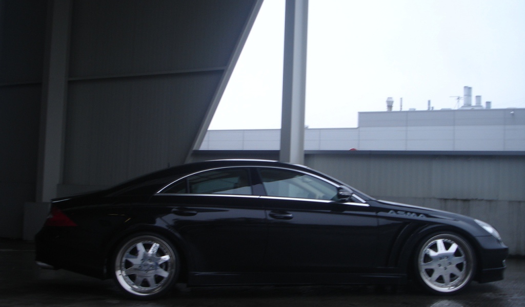 Asma Tavan 2013 в городе