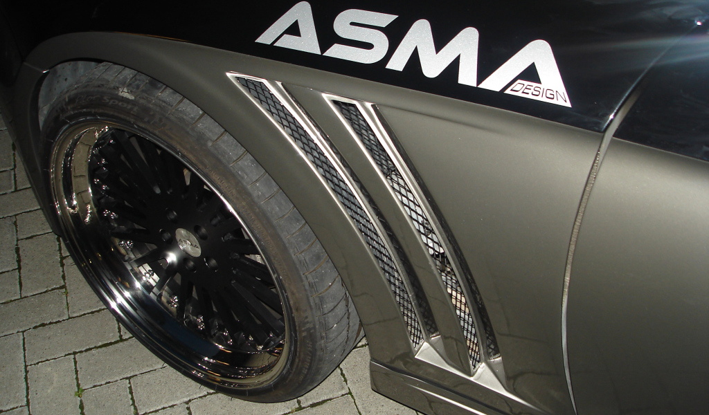 Черная Asma Tavan 2013