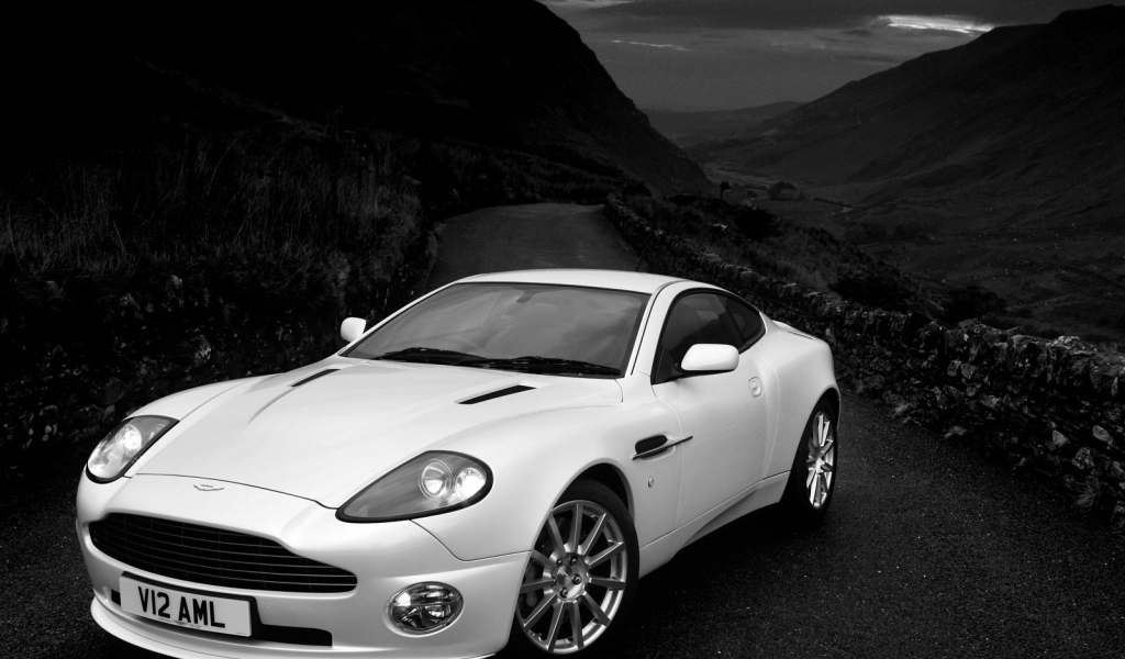 Тест драйв автомобиля Aston Martin v12
