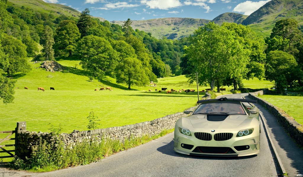 Автомобиль BMW на поле