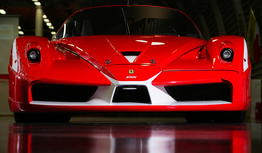 Неповторимый Ferrari FXX