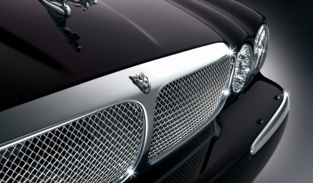 Передок Ягуара