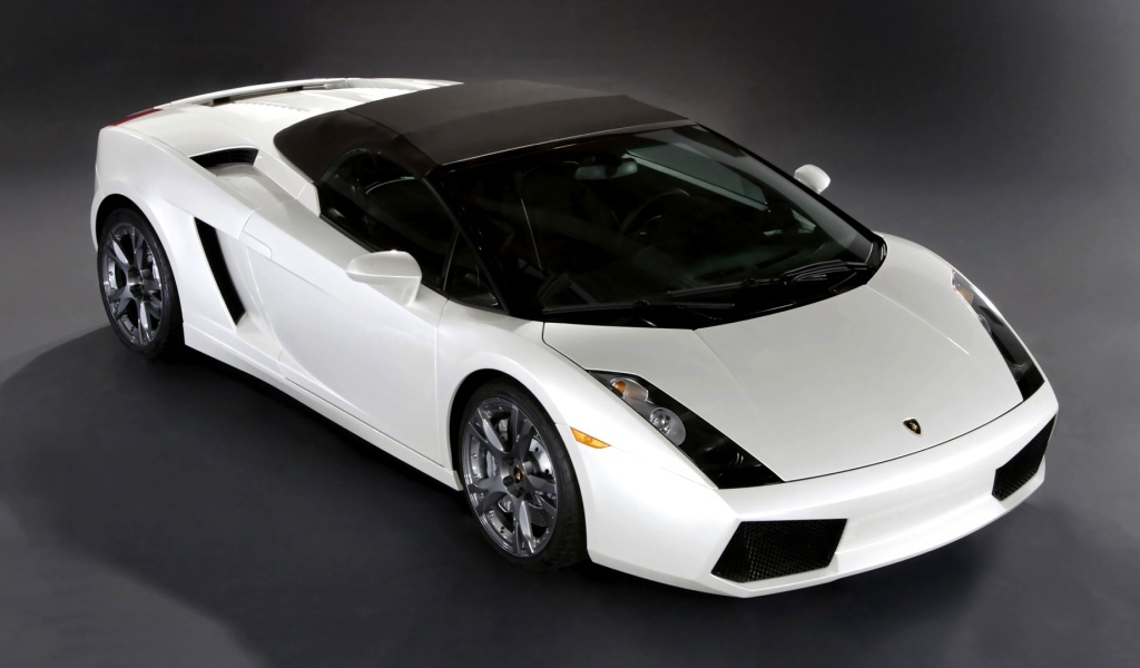 Черно белый Lamborghini 