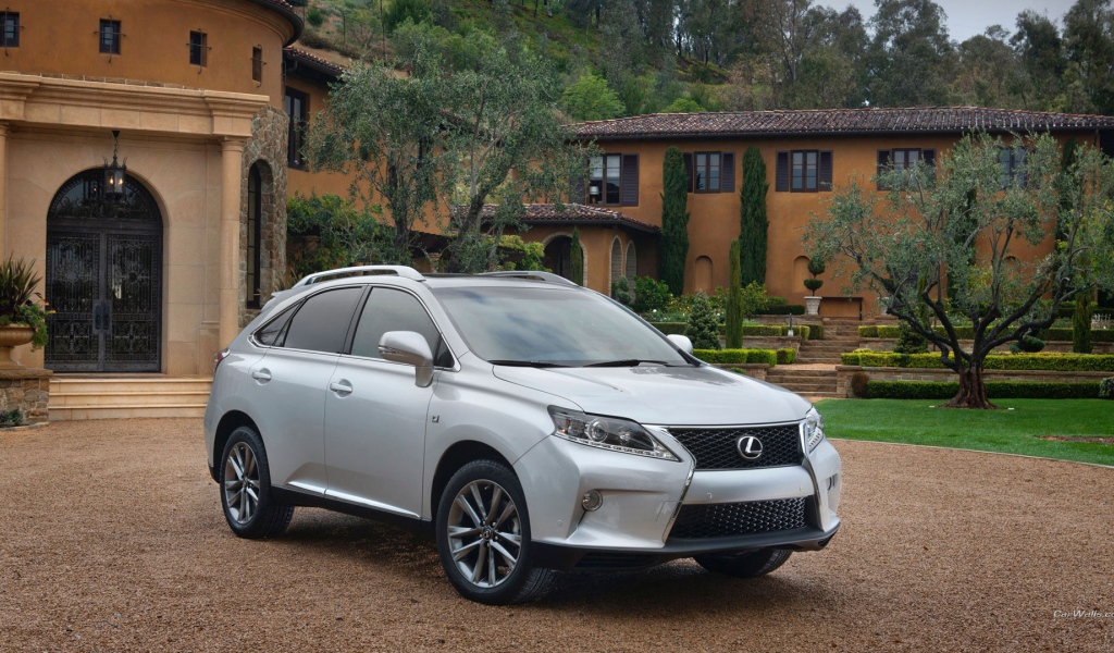 Белый Лексус RX 350