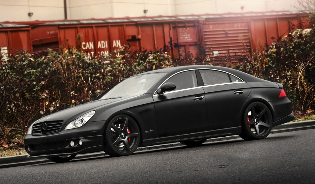 Мерседес C219