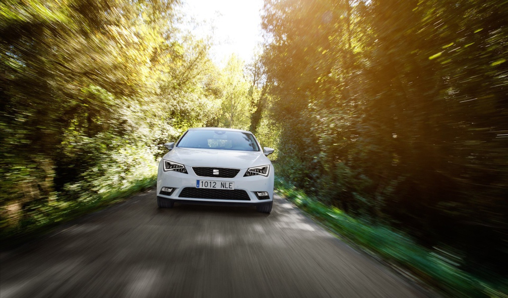 Автомобиль Seat leon на дороге