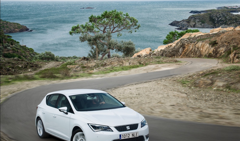  Надежный автомобиль Seat leon