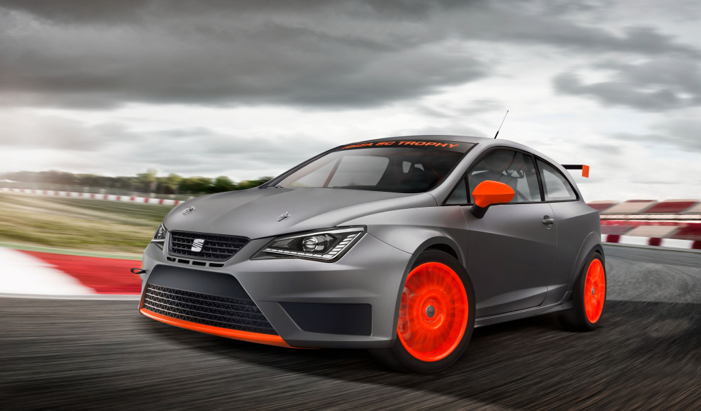  Надежная машина Seat Ibiza