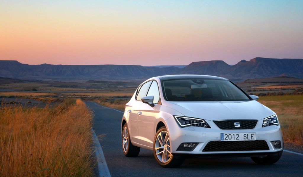 Надежная машина Seat leon