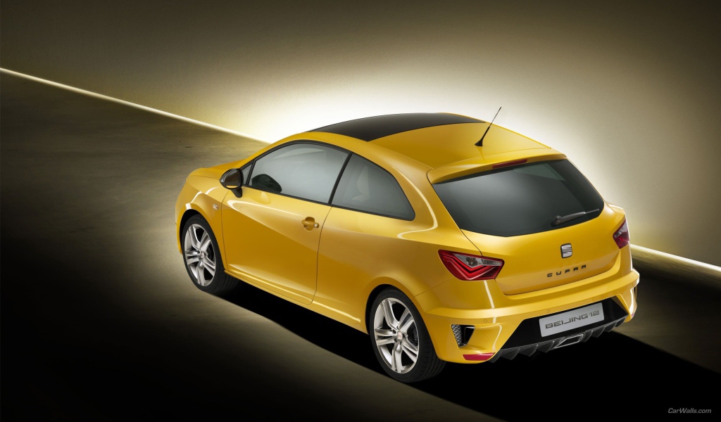Тест драйв автомобиля Seat Ibiza