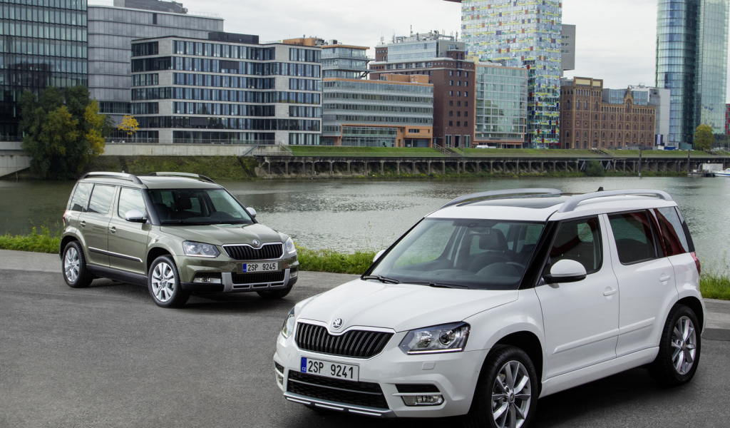 Автомобиль Skoda Yeti 2014 на дороге