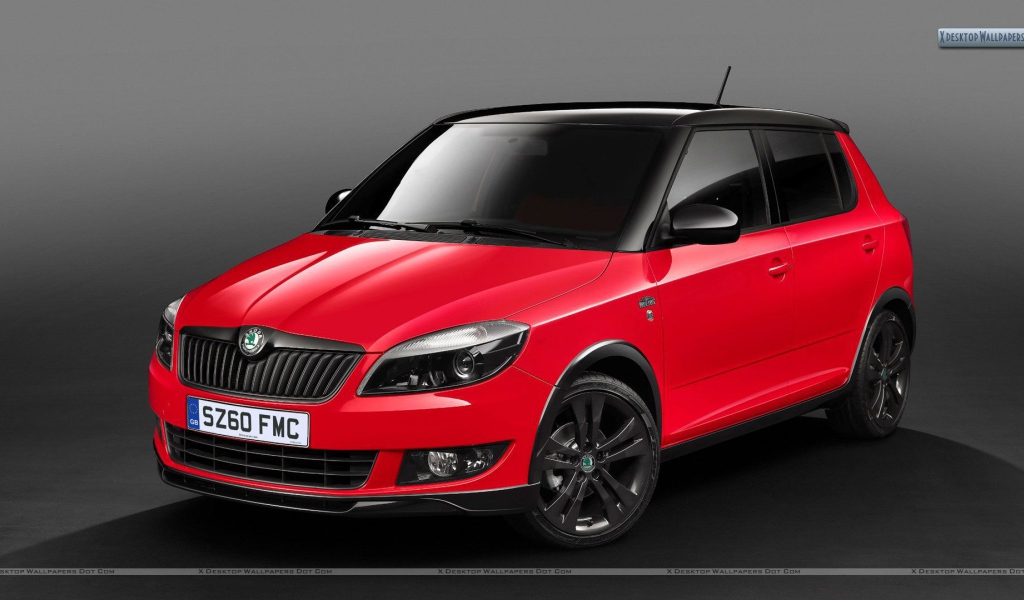 Тест драйв автомобиля Skoda Fabia