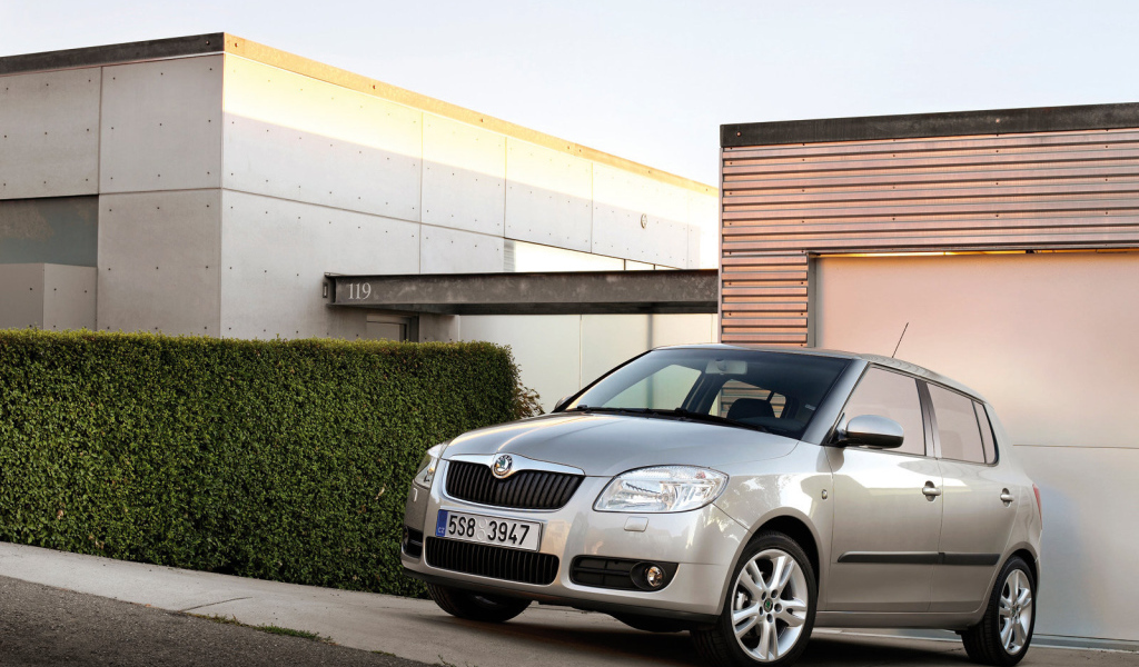 Новая машина Skoda Fabia