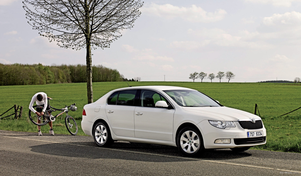 Надежная машина Skoda SuperB