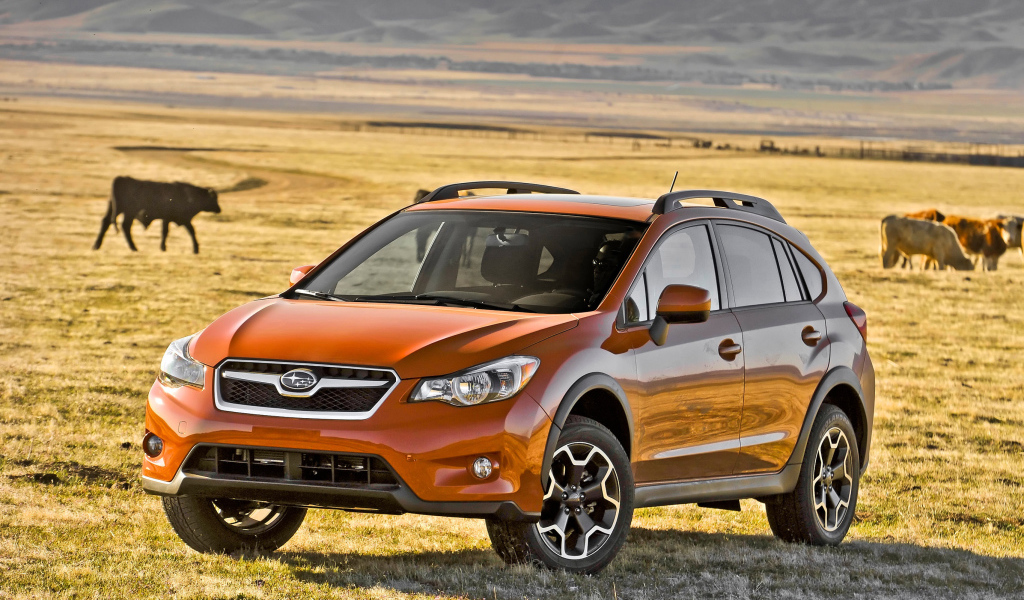 Тест драйв автомобиля Subaru XV