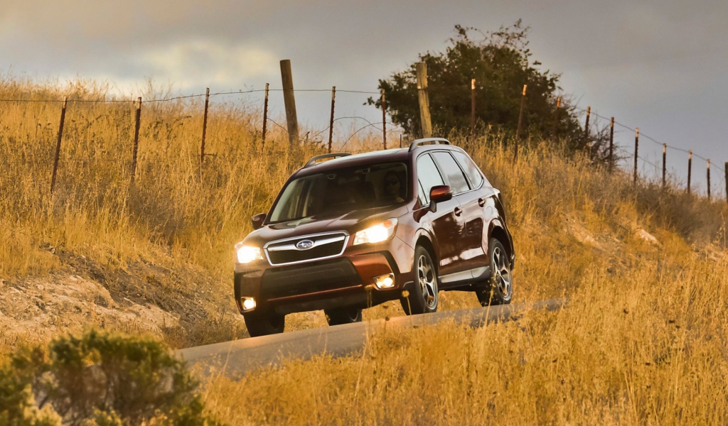 Новая машина Subaru Forester 2013