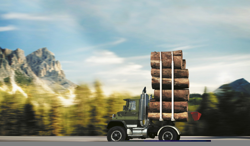 Автомобиль лесовоз