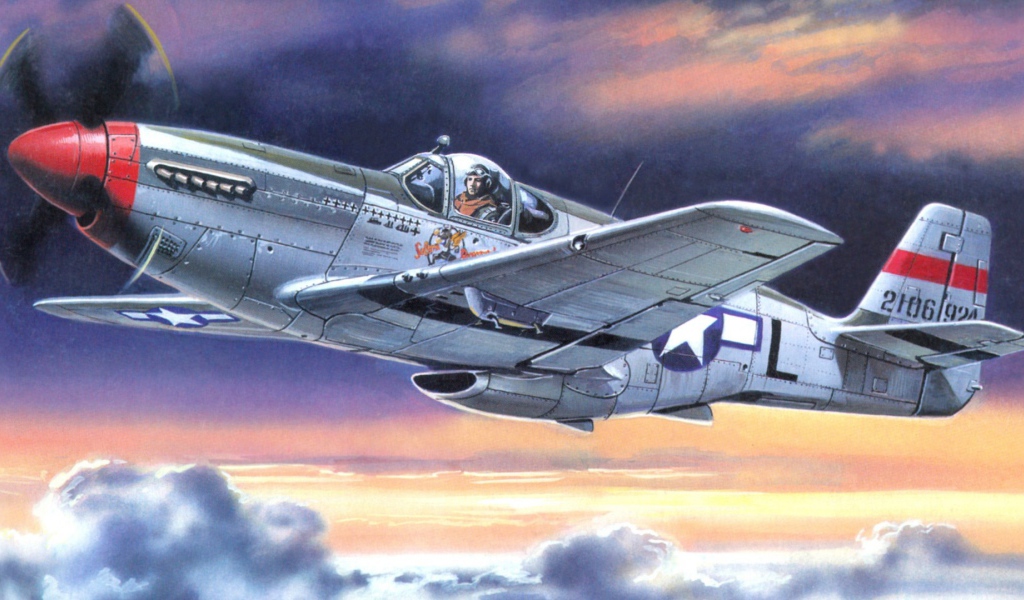 Воздушный боец