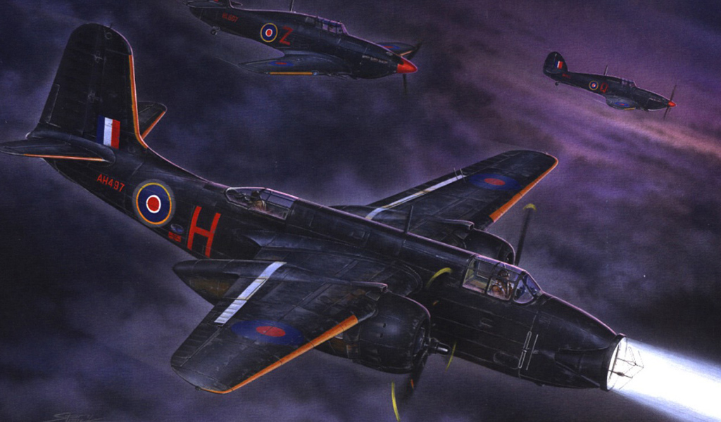 Ночные ястребы